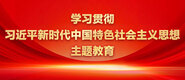 日逼的小黄片学习贯彻习近平新时代中国特色社会主义思想主题教育_fororder_ad-371X160(2)